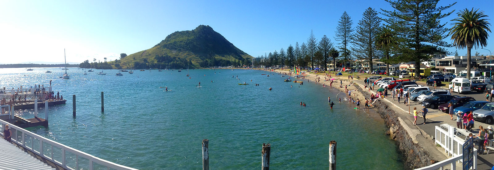 tauranga harbour cruise ship schedule