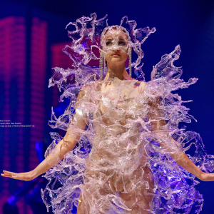 TearsUnseen, Carena West New Zealand © World of WearableArt Ltd