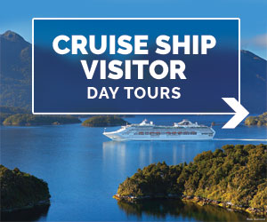 cruisehip tours
