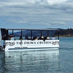 ohiwa harbour cruise