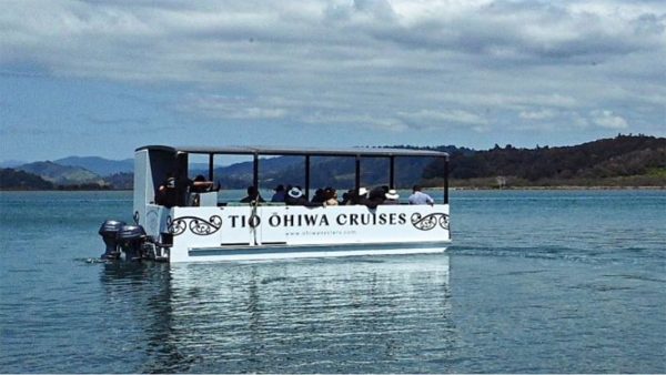 ohiwa harbour cruise